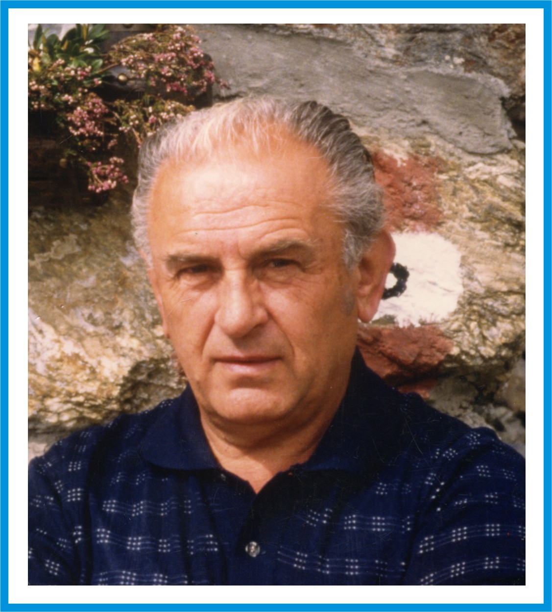 DINO ZANDONELLA