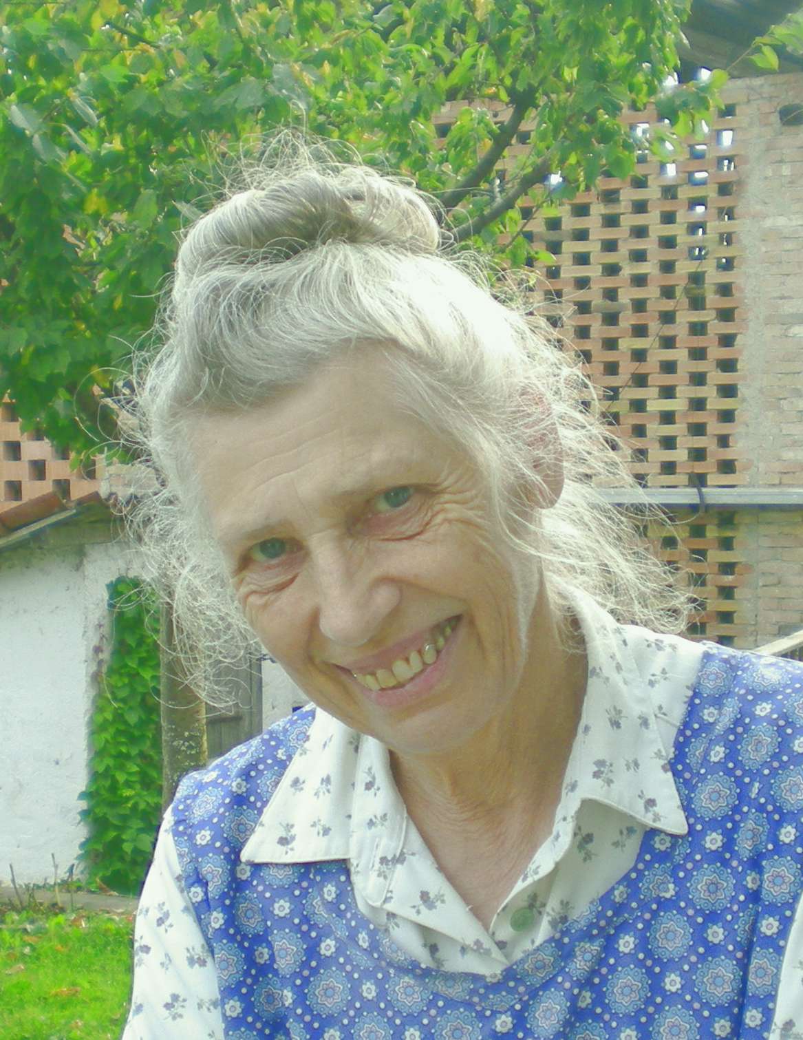 MAIER IDA